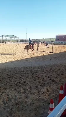 مركز الجياد للفروسية - Al Jiyad Equestrian Center