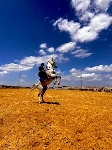 مركز السلطان للفروسية