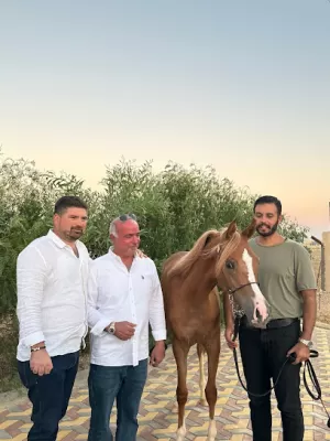 مركز السلطان للفروسية