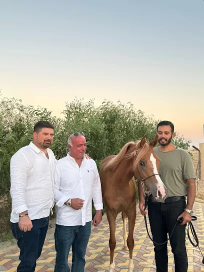 مركز السلطان للفروسية