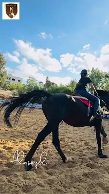 AlAsayel Equestrian Club