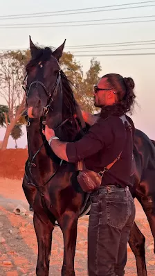 اسطبلات وكافيه رينجرز للفروسية