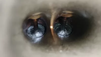 مركزو ميزان Pro Care صيانه مكنيك و كهرباء وقطع بودي دهان جميع انواع السيارات