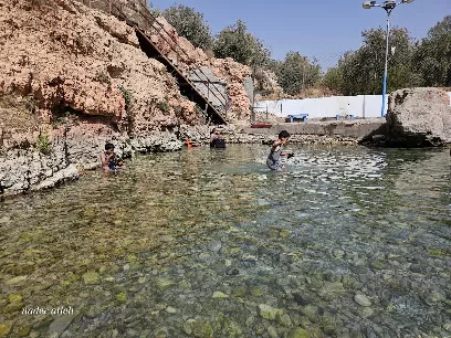 زبود غابات حسبان