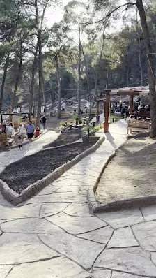 Wonder Garden
