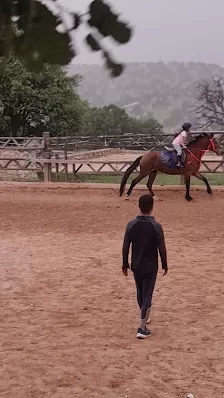 نادي الريف الاردني للفروسية