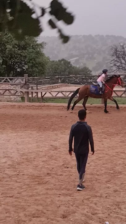 نادي الريف الاردني للفروسية