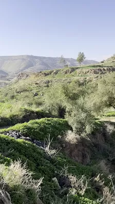 منتزه المغامرات