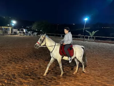 نادي المعتمد للفروسيه