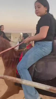 اسطبل خيل وهيل للفروسيه