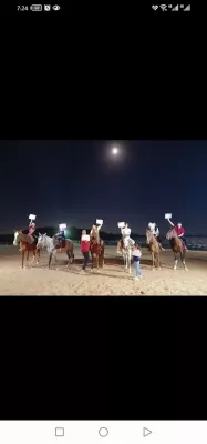 اسطبل خيل وهيل للفروسيه