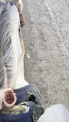اسطبل خيل وهيل للفروسيه
