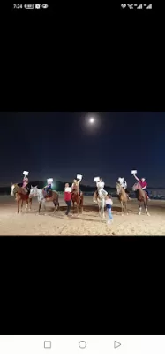 اسطبل خيل وهيل للفروسيه