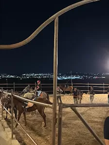 اسطبلات و مزرعة هتان