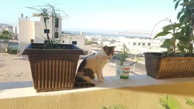 كليه التدريب المهني المتقدم العقبة
