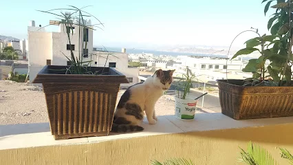 كليه التدريب المهني المتقدم العقبة