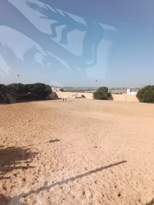 اسطبلات Horse Land Academy