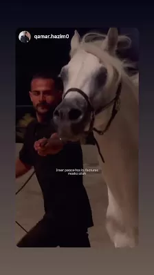 TEXAS STABLES