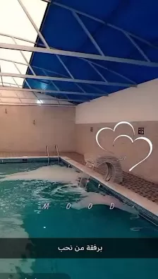 مزرعة الجراجره للخيول العربية