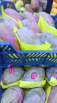 كوكتيل حارتنا