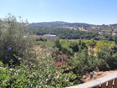منتزه عجلون السياحي