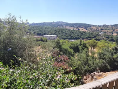 منتزه عجلون السياحي