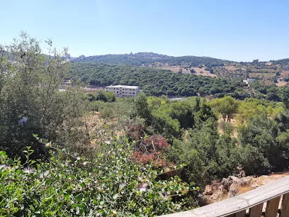 منتزه عجلون السياحي