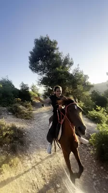 اسطبلات أم الخشب