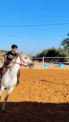اسطبلات أم الخشب