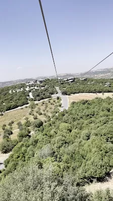 العبّارة الهوائية في غابات عجلون