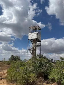 العبّارة الهوائية في غابات عجلون