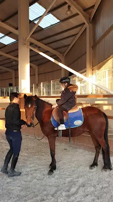AlAryan Equestrian Centre