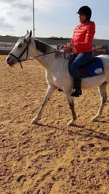 AlAryan Equestrian Centre
