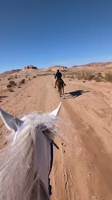 Mountain Horse Stables