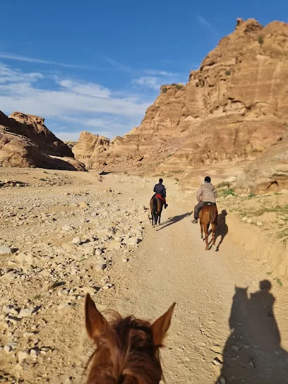 Mountain Horse Stables