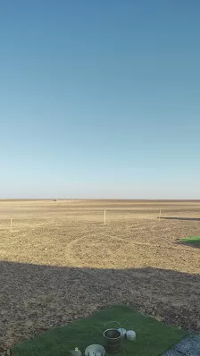 مركز نبض معان الطبي