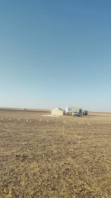 مركز نبض معان الطبي
