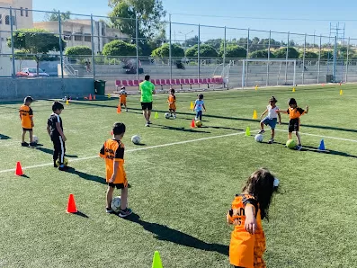 اكاديمية اسود الاردن لكرة القدم