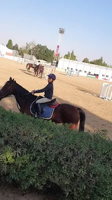 نادي الجواد العربي