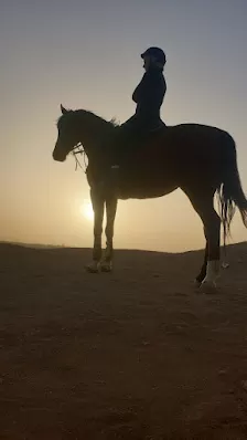 اسطبلات كنعان للقدرة والتحمل