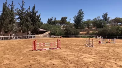 Saifi Stables