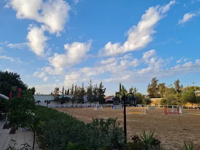 Saifi Stables