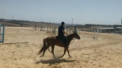 AlSaheel Equestrian Center