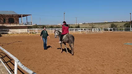 AlSaheel Equestrian Center