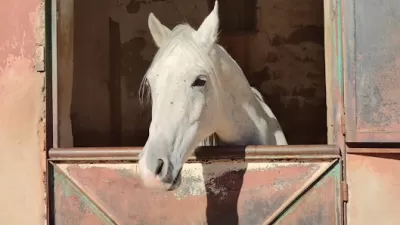 نادي الفارس العربي