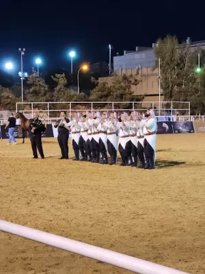 Royal Jordanian Equestrian Federation