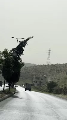 أكاديمية الأنجال الدولية