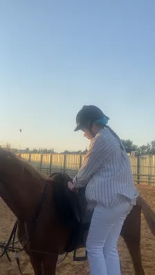 اسطبلات الزيتونة
