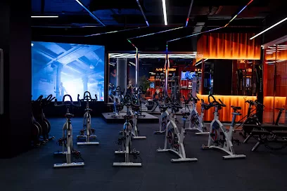 ELITE LAB GYM