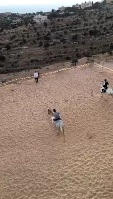 اسطبلات شمس الاصايل
